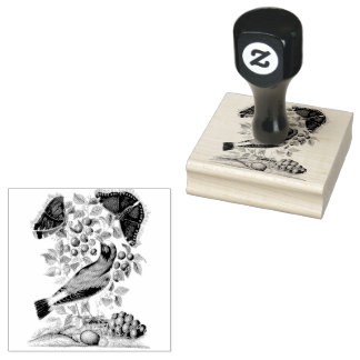 Wheatear Bilberry Camberwell Birds Scrapbooking Gummistempel