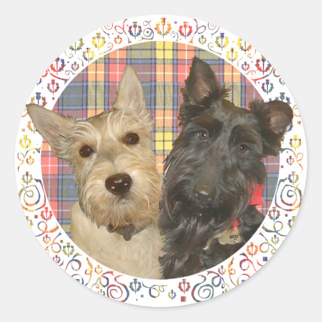 Wheaten & Black Scott auf Tartan Runder Aufkleber (Vorderseite)
