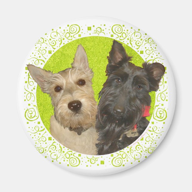 Wheaten & Black Scottish Terriers Magnet (Vorne)