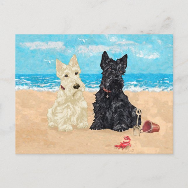 "Wheaten & Black Scotts" am Strand Postkarte (Vorderseite)
