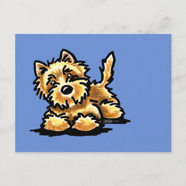 Wheaten Cairn Terrier Postkarte (Vorderseite)