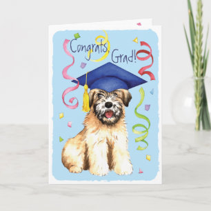 Wheaten Graduate Karte