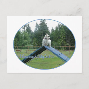 Wheaten Scottie Agilität Postkarte