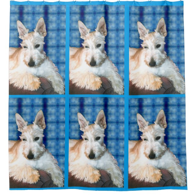Wheaten Scottie Duschvorhang (Vorderseite)