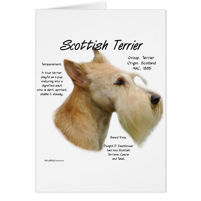 Wheaten Scottie History (Vorne)