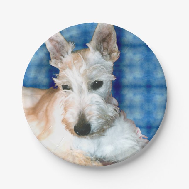 Wheaten Scottie Paper Plate Pappteller (Vorderseite)