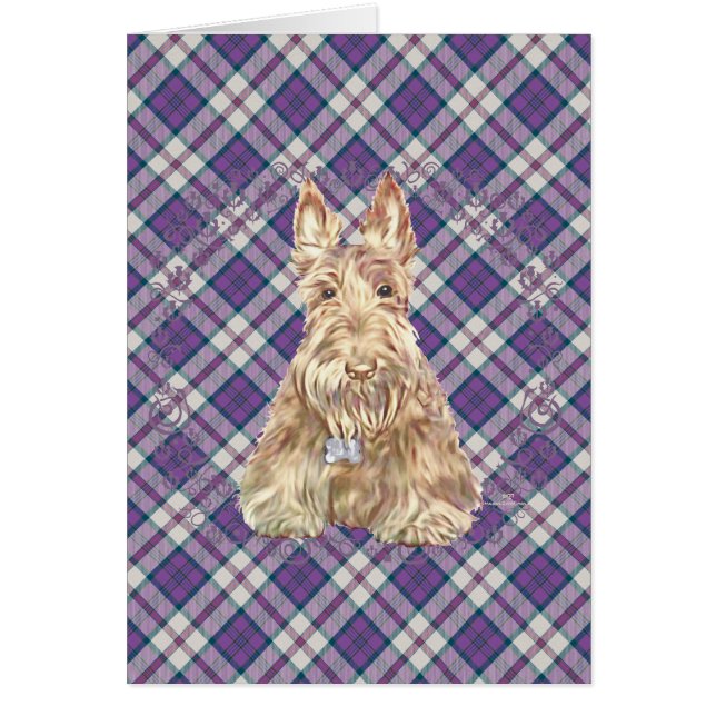 Wheaten Scottie Tartan (Vorne)