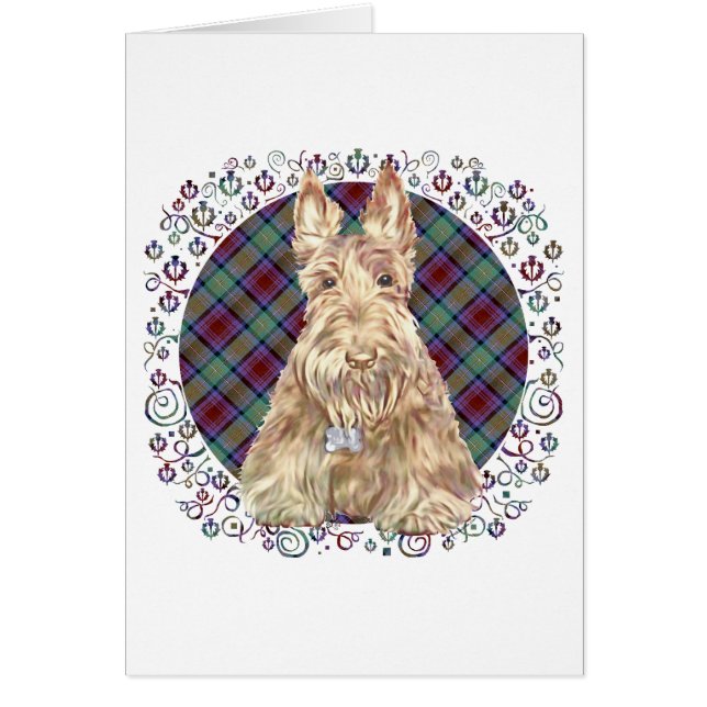 Wheaten Scottie Tartan (Vorne)