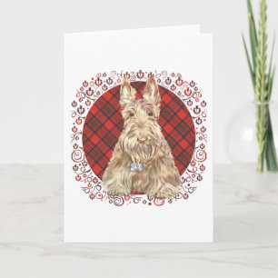 Wheaten Scottie Tartan Karte
