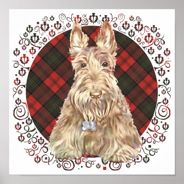 Wheaten Scottie Tartan Poster (Vorne)