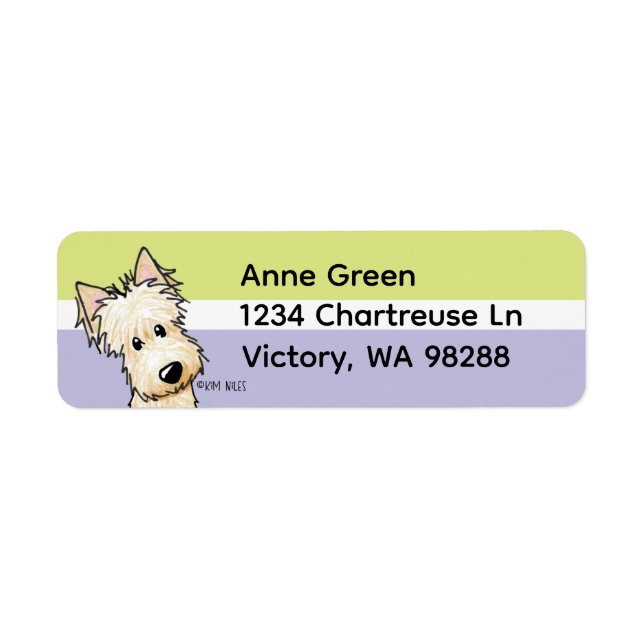 Wheaten Scottish Terrier (Vorne)
