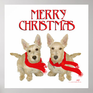 Wheaten Scottish Terrier Chirstmas Poster