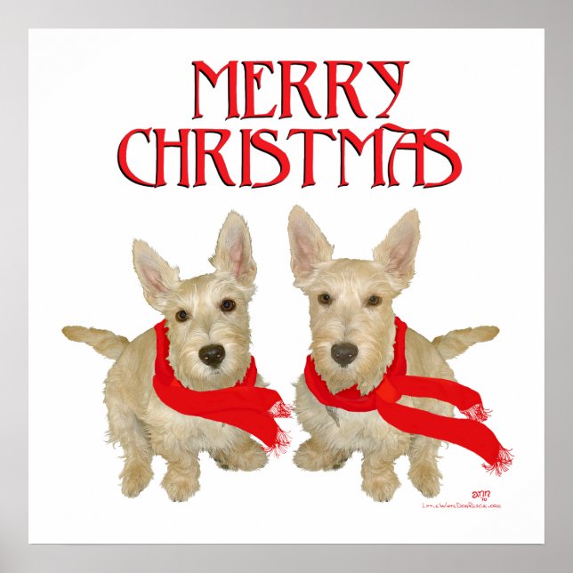 Wheaten Scottish Terrier Chirstmas Poster (Vorne)