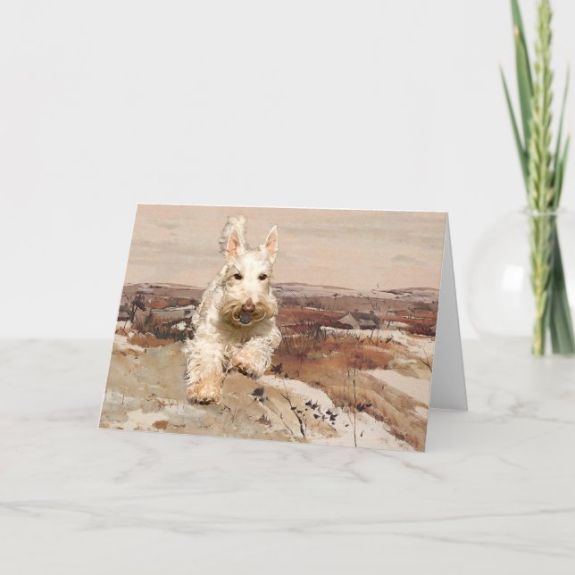 Wheaten Scottish Terrier Greeting Card Karte (Vorderseite)