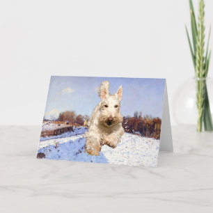 Wheaten Scottish Terrier Greeting Card Karte