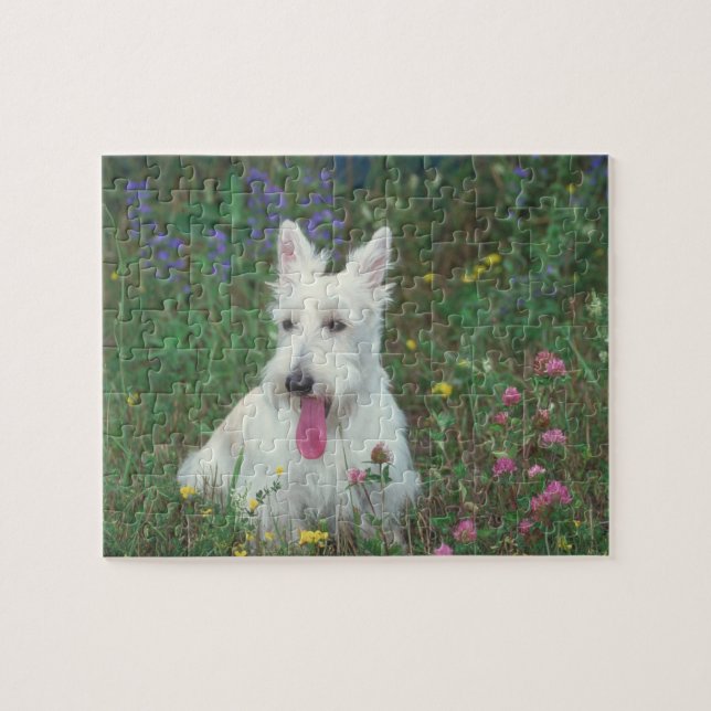 Wheaten Scottish-Terrier-Hundepuzzlespiel Puzzle (Horizontal)