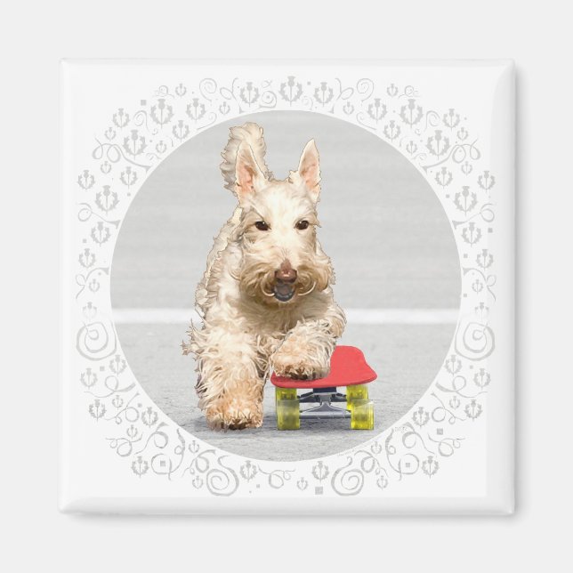 Wheaten Scottish Terrier Skateboard Magnet (Vorne)