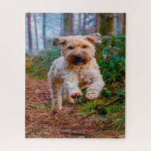 Wheaten Terrier Dog Jigsaws. Puzzle