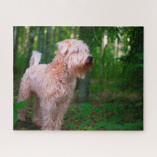 Wheaten Terrier Dog Jigsaws. Puzzle