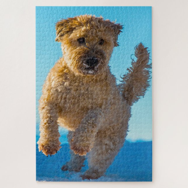 Wheaten Terrier Dog Jigsaws. Puzzle (Vertikal)