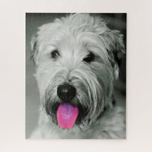 Wheaten Terrier Dog Jigsaws. Puzzle