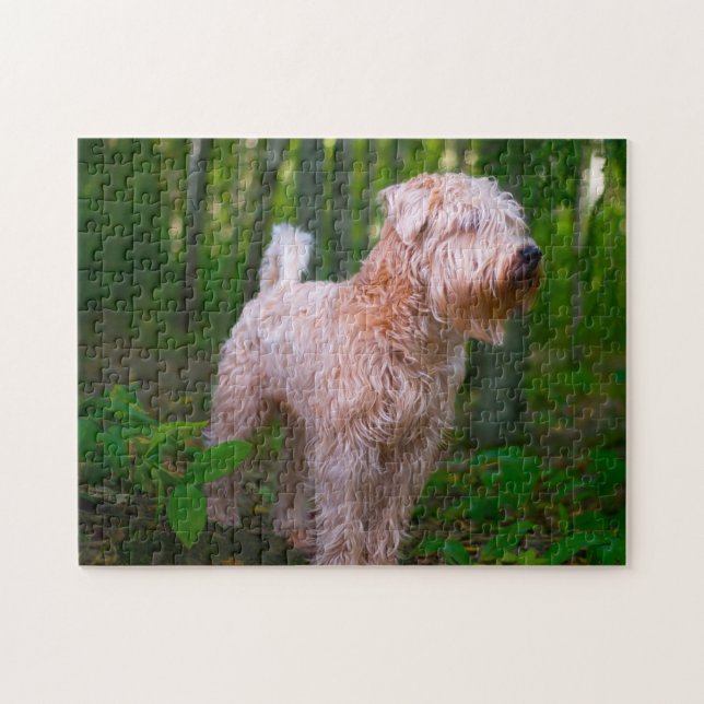 Wheaten Terrier Dog Jigsaws. Puzzle (Horizontal)
