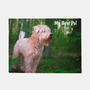 Wheaten Terrier. Fußmatte