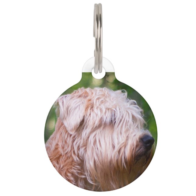 Wheaten Terrier Haustiermarke (Vorderseite)