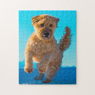 Wheaten Terrier Hund Puzzle. Puzzle