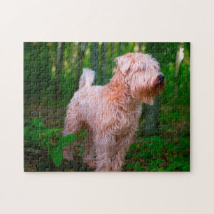 Wheaten Terrier Hund Puzzles. Puzzle