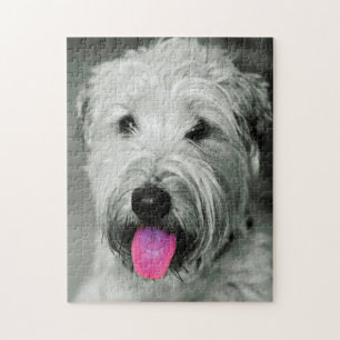 Wheaten Terrier Hund Puzzles. Puzzle