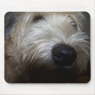 Wheaten Terrier-Hundegesicht Mousepad