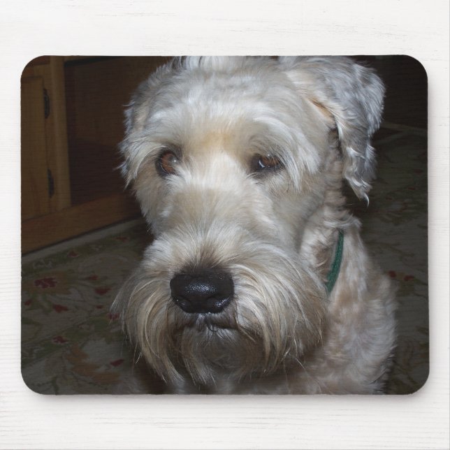 Wheaten Terrier Mousepad (Vorne)