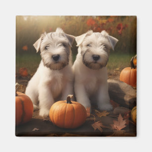 Wheaten Terrier Welpe Autumn Delight Pumpkin Magnet