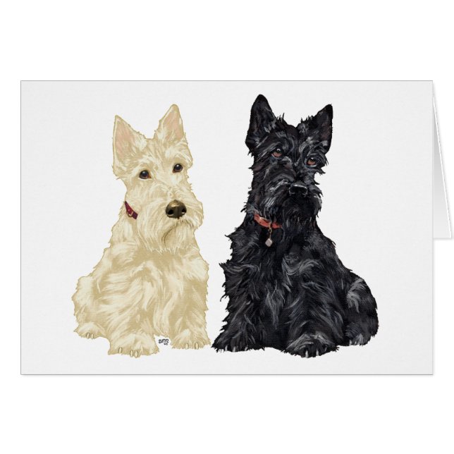 Wheaten und Black Scottish Terriers (Vorderseite (Horizontal))