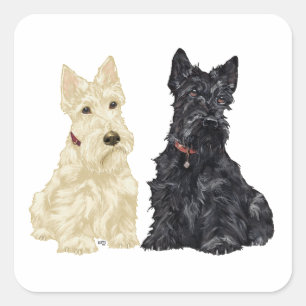 Wheaten und Black Scottish Terriers Quadratischer Aufkleber