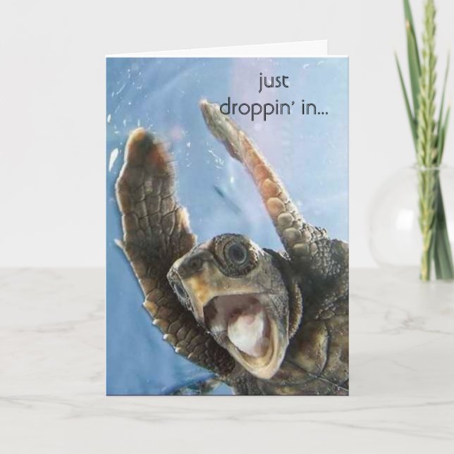 wheeeeeeeee Schildkröte, gerade droppin in… Karte (Vorderseite)