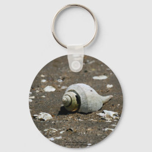 Whelk Muschel auf dem Strand - Schlüsselkette Schlüsselanhänger