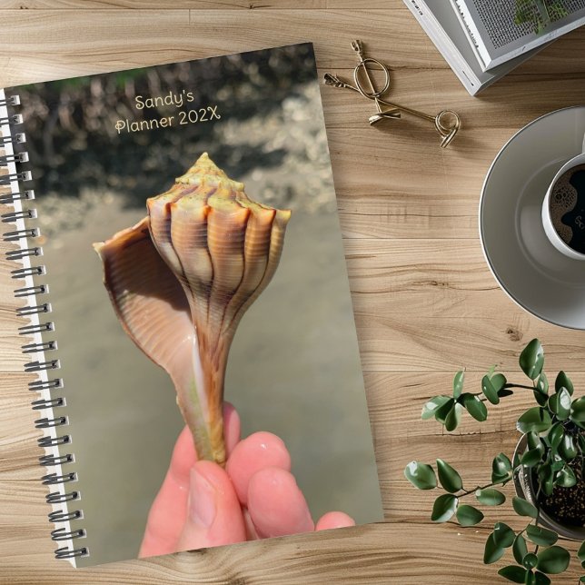 Whelk-Schalen-Fotografie-Individualplaner Planer (Von Creator hochgeladen)