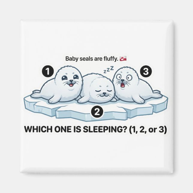 Which One Is Sleeping? – Baby Seal Learning Magnet (Vorne)