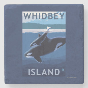 Whidbey Insel, WashingtonOrca und Kalb Steinuntersetzer