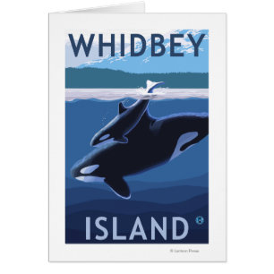 Whidbey Island, Washington Orca und Calf