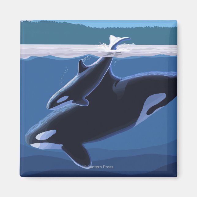 Whidbey Island, Washington Orca und Calf Magnet (Vorne)