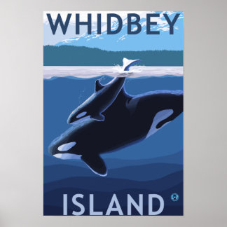 Whidbey Island, Washington Orca und Calf Poster