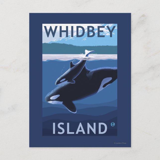Whidbey Island, Washington Orca und Calf Postkarte (Vorderseite)