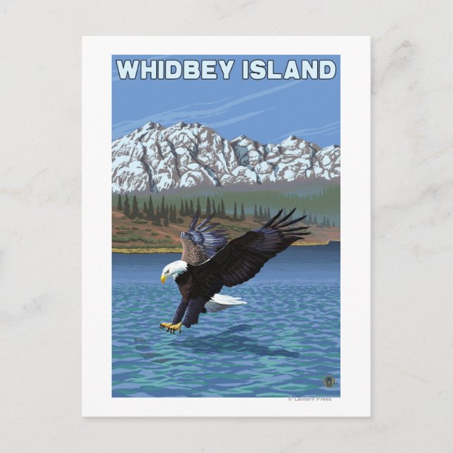 Whidbey Island, WashingtonEagle Fishing Postkarte (Vorderseite)