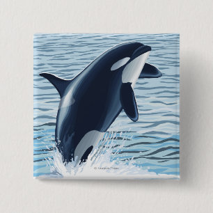 Whidbey Island, WashingtonOrca Jumping Button