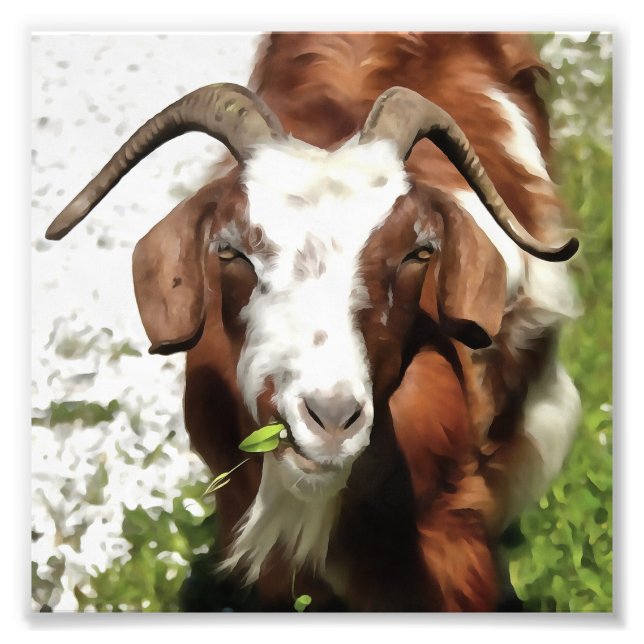Whimsical Artistic Portrait of a Goat Grazing Fotodruck (Vorne)
