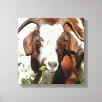 Whimsical Artistic Portrait of a Goat Grazing