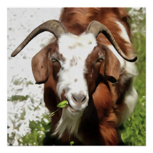 Whimsical Artistic Portrait of a Goat Grazing Poster